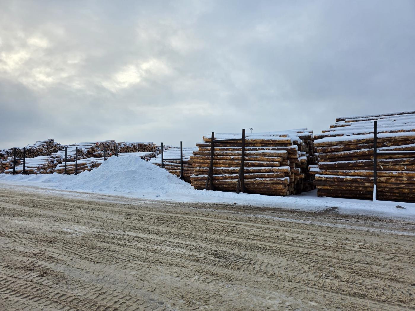 The timber yard in winter, with snow-covered stacks of round logs along the road