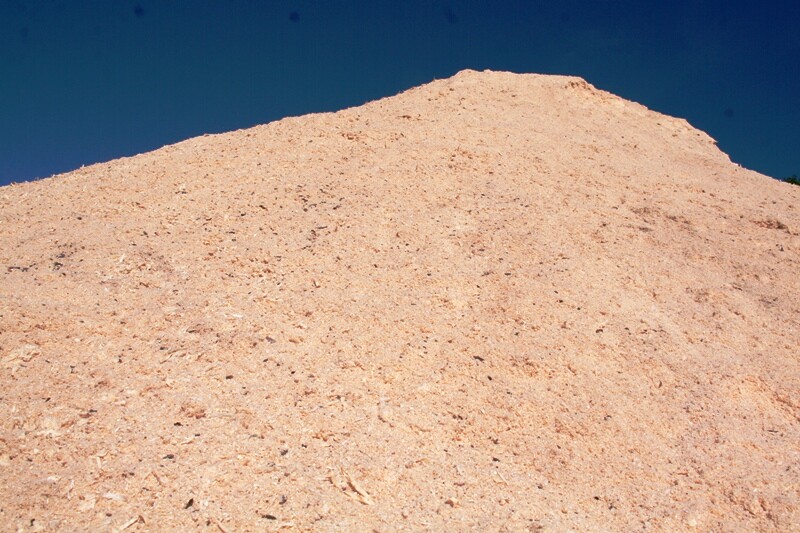 Zāģskaidas